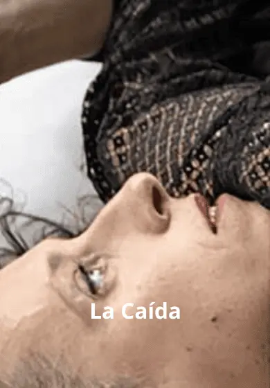Cartel de La Caída