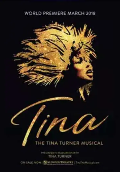 Cartel de Tina, el musical